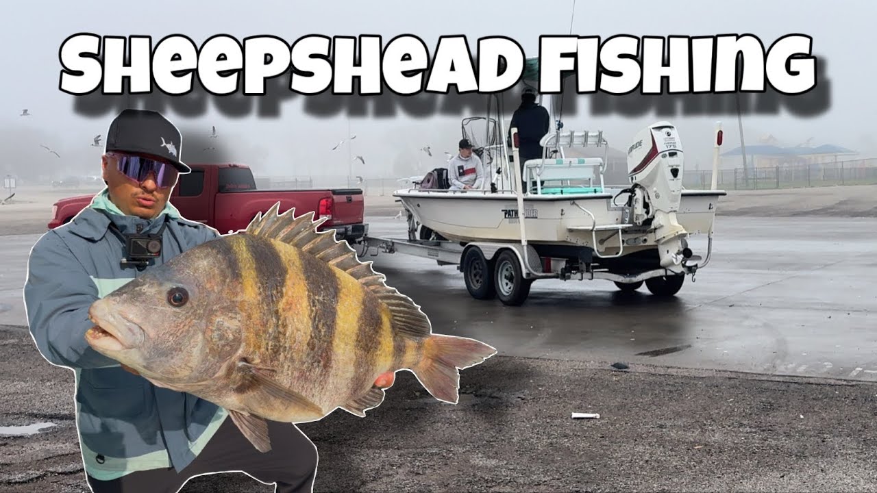 I HOOKED A GIANT FISH! - YouTube