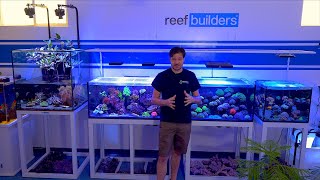 The Wall Of Reef Tanks - 4 unique aquarium displays