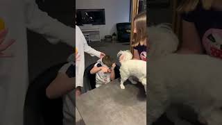 Blague Drôle Funny Chien Doigts Caca
