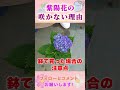 紫陽花のメカニズム #園芸 #ガーデニング #初心者