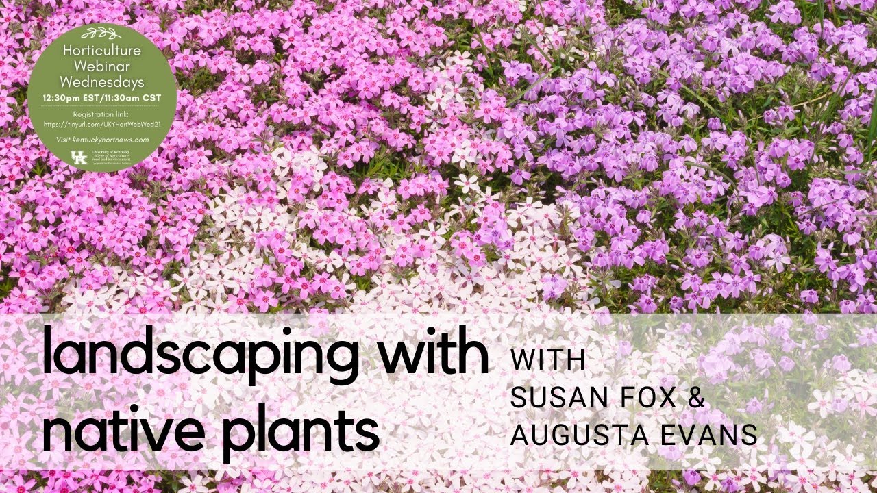 Landscaping with Natives