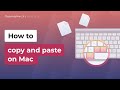 How to Copy and Paste on Mac | 5 Clever Ways