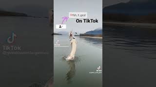 Is On Tiktok.