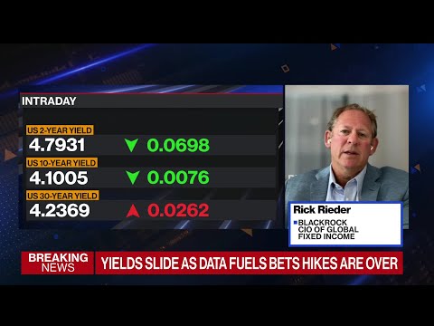 Blackrock’s rieder: ‘put your shoulder’ into fixed income