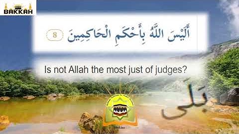 Teaching Arabic to non - native speakers- قرآن كريم سورة التين - Bakkah Institute for Arabic Studies