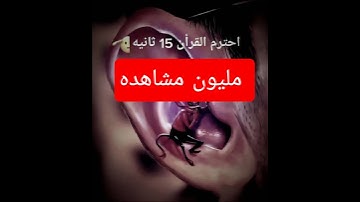 احترام القرآن الكريم دقيقه
