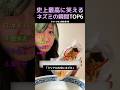 史上最高に笑えるネズミの瞬間TOP6