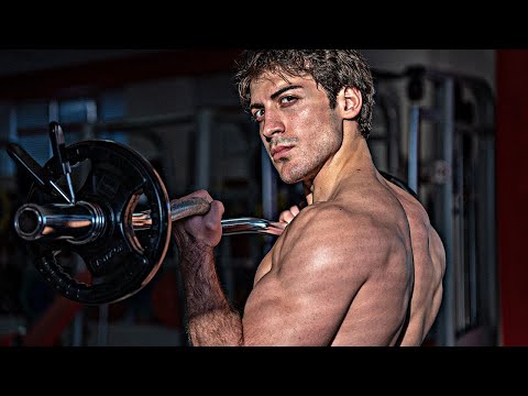 2023 წლის ახალი სავარჯიშო პროგრამა - მკლავები