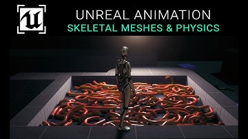 Unreal 5.4 Animation Tutorial - Skeletal Meshes & Physics 🪱