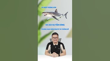 Hỏi đáp nhanh: Cá mập không nguy hiểm bằng con chó #shorts