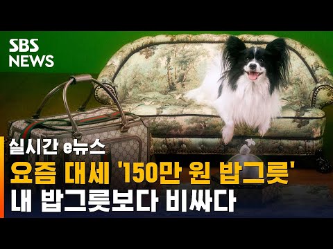 '150만 원짜리 밥그릇'이 요즘 대세 명품이 된 이유는? / SBS / 실시간 e뉴스