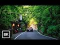 Kyoto Hidden Valleys Drive 🌿 Arashiyama to Kibune / 8K 60fps HDR / Relaxing Piano