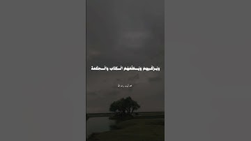 تلاوة قرانية #المصحف #foryou #اكسبلور #funny #راحة_نفسية #quran #محمد_ايوب