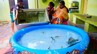 'PIRANA, SHARK ' எல்லாம் இவ்ளோ பெருசானா இப்படி தான் பண்ண போறோம்.|. Fridge Tank Cleaning|Abi2.0