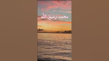 تلاوة من آخر سورة الفتح #المصحف #قران_كريم #اكسبلور #تلاوة #راحة_نفسية #راحة_نفسية