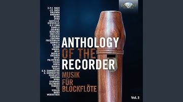 Concerto in G Minor, RV 105, for Alto Recorder, Oboe, Violin, Bassoon, Basso Continuo: I. Allegro