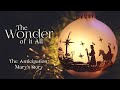 The Wonder of Anticipation: Mary's Story | Pastor Luke Harbaugh | December 7th 2025