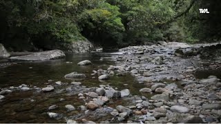 Comissão Mista discute revisão do Código Estadual do Meio Ambiente