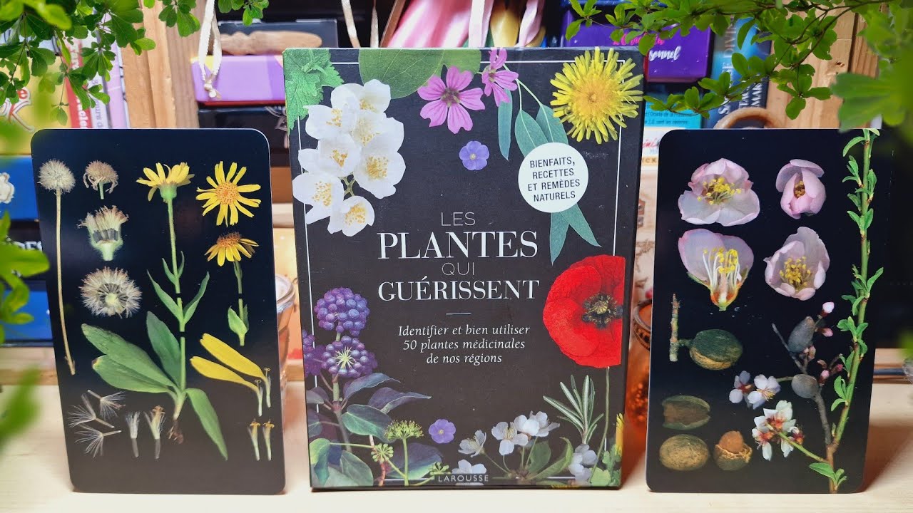 🌱 Les plantes qui guérissent, Identifier et bien utiliser 50 plantes