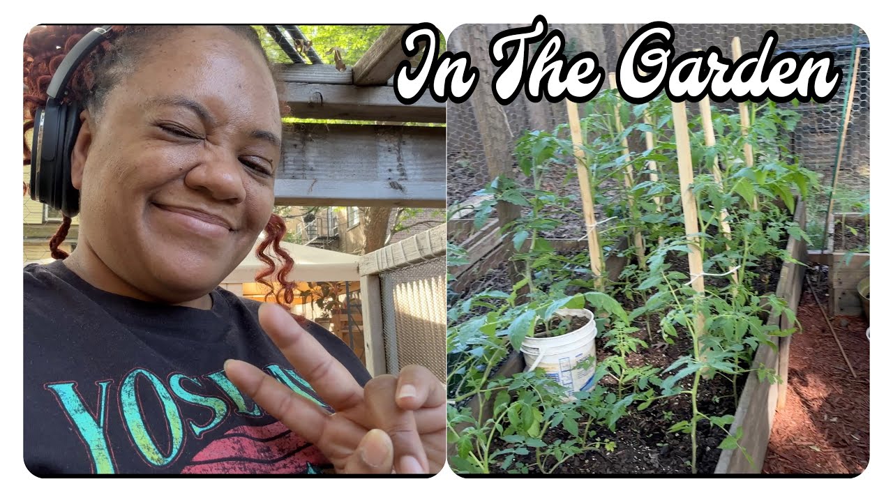 Garden Series 9 Everything In The Garden Is Growing So