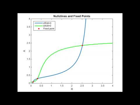 Nullclines movie