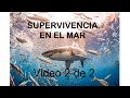 SUPERVIVENCIA EN EL MAR. Parte 2 de 2. Historias REALES de SUPERVIVENCIA EXTREMA EN EL MAR. Cómo?...