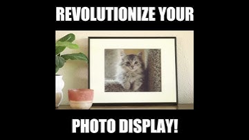 Showcase Your Memories With a Timeless Photo Print