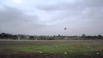 Trex 500, Single Piro Flip Exercise