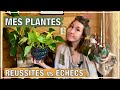 Vlog n 49 i russites vs checs plantes on fait le bilan  la sortie de lhiver 