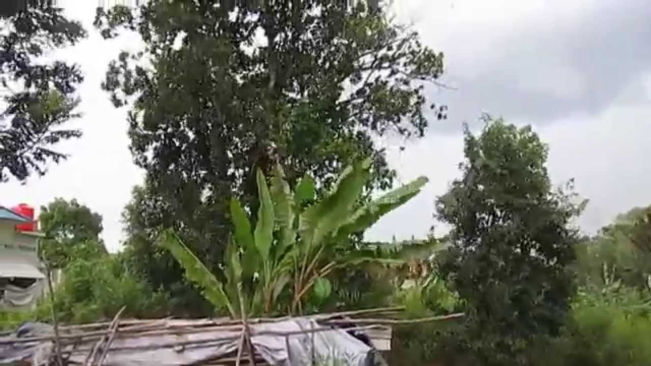 Pasukan Panji Hitam - YouTube