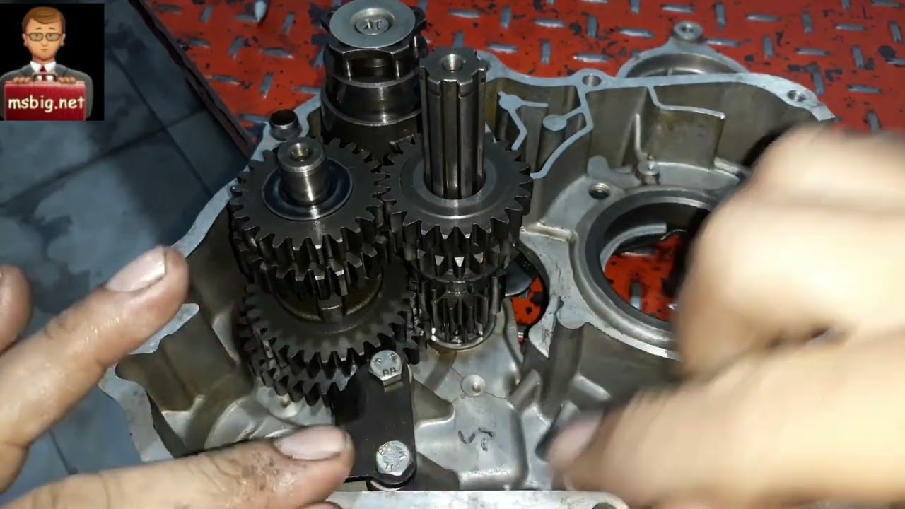 Sicronismo da caixa de marcha da Phoenix Gold 50c Shineray