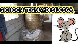 Salafan qopga selos bosib quysa buladimi ? sichqon tegmaydimi ?