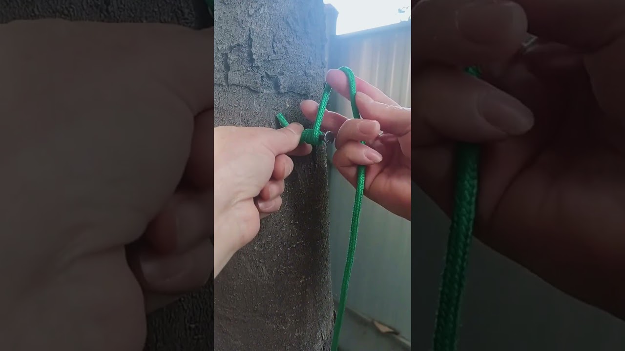 Twist and one strong bond #shorts