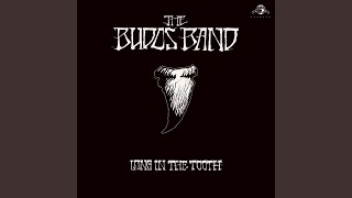 Video thumbnail of "The Budos Band - Gun Metal Grey"