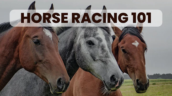 The Basics of Horse Betting and Handicapping