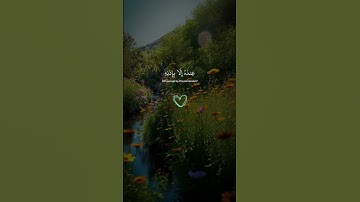 "اللّهُ لا إِلَٰهَ إِلَّا هُوَ الْحَيُّ الْقَيُّومُ" | آية الكرسي | سورة البقرة: 255