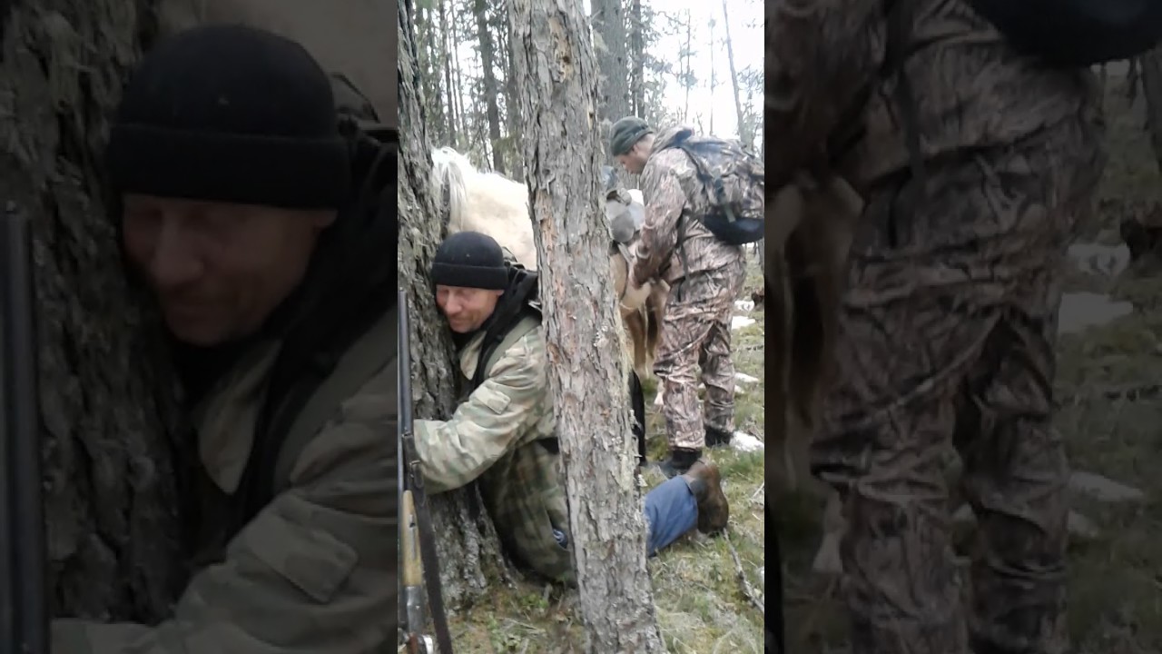 Охота в Сибири осень 2016