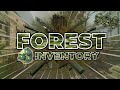 The best forest themed csgo inventory great budget skins