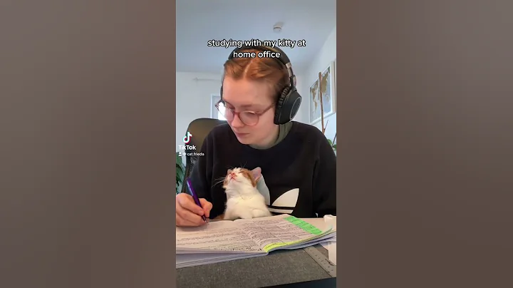 part 3 of studying with Frieda  #cute #cat #fy #fo...