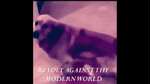 fashwave dog pissing on the floor