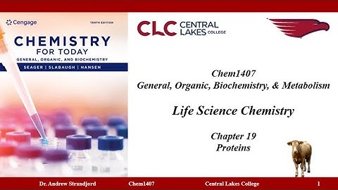 Chem1407 Lecture Notes Chapter 19 v2