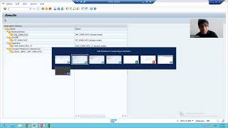 26 - Cross Applications - Data Migration Using Business Object Method of LSMW Part2