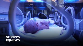 FDA to meet on development of artificial womb technology