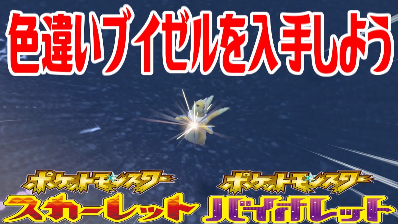 ポケモンsv 色違いブイゼルを入手しよう ポケットモンスター スカーレット バイオレット Pocket Monsters Youtube