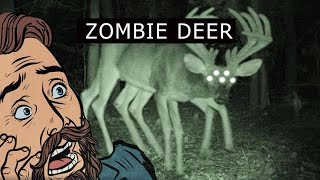 ZOMBIE DEER found in Ohio by VerySerious 1,545 views 1 year ago 2 minutes, 9 seconds