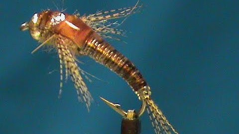 Fly Tying a Beadhead UV Resin Mayfly Nymph with Jim Misiura