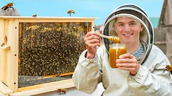 How Honey Is Made (Farm To Table)