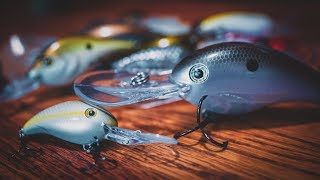 Lipless Crankbait Buyer's Guide - Best Baits For The Price 