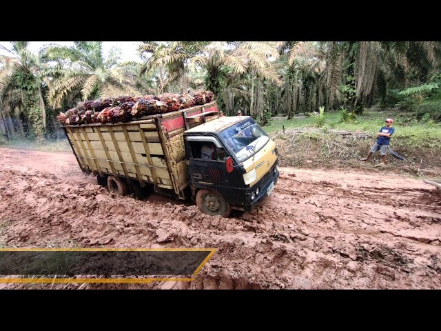 Supir truk sawit oleng dijalan lumpur || KANG TAMVAN TV class=