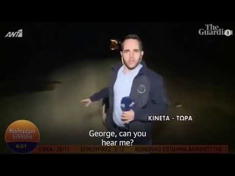 Pig chases reporter on live telecast in Greece